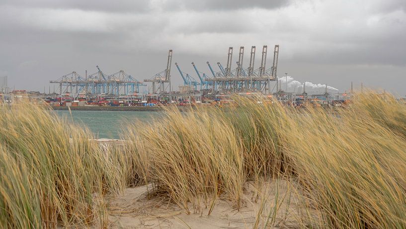 Princess Alexiahaven by René Nicolaes