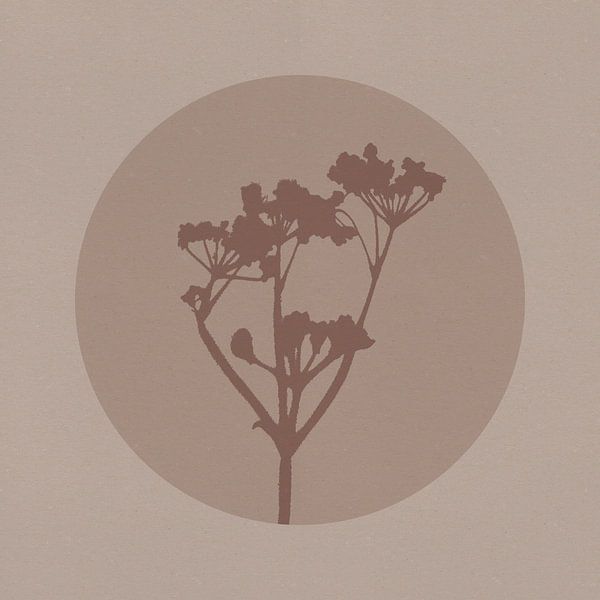Japandi botanisch in neutralem Beige und Braun. Blumen. von Dina Dankers
