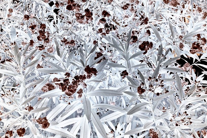 Marmor Oleander von Arie Jan Kraai