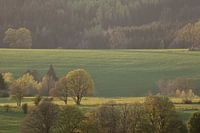 Coucher de soleil dans les Ardennes