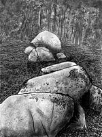 Hoogen Steener (autumn)