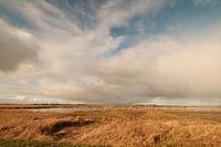 Unendliches flaches Land 1