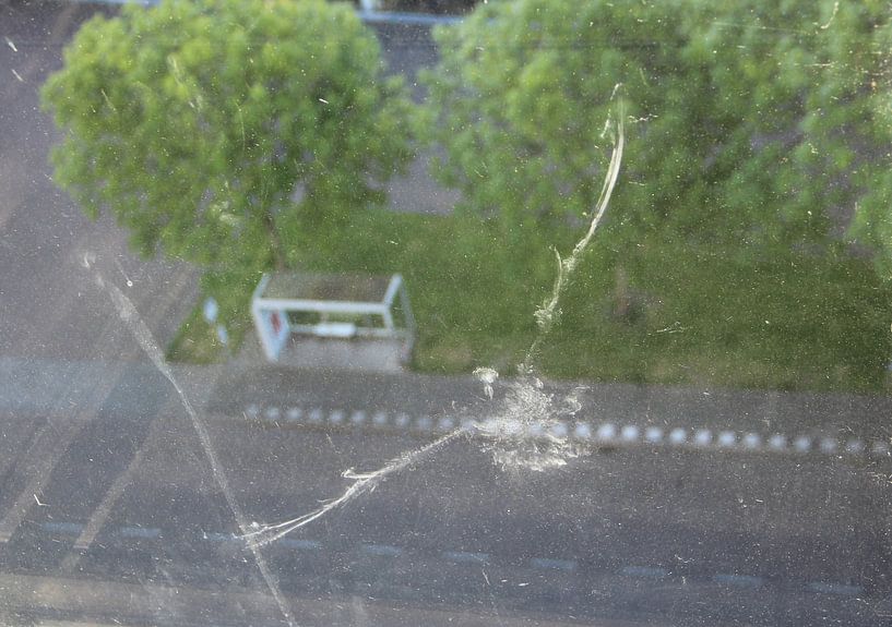 Vreemde vogel mist de bus van Patrick Riemens