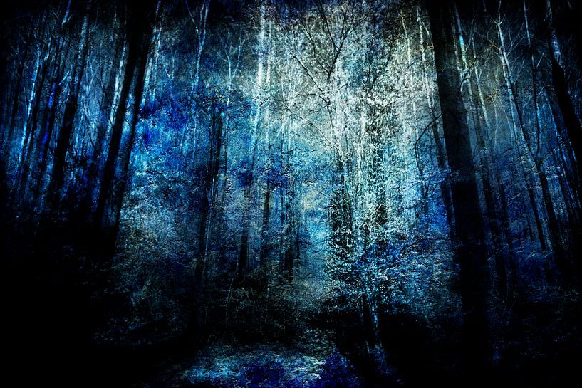 Am Ende eines Waldes #05 von Peter Baak