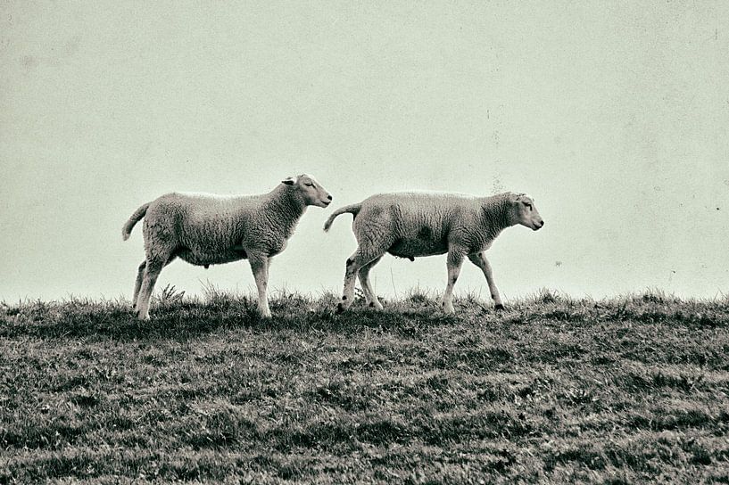 de Dijklopers by ZEVNOV .