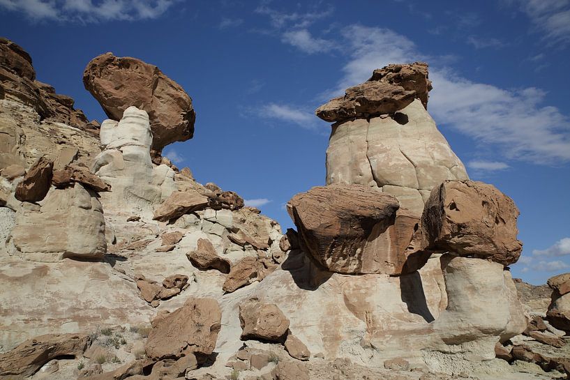 Hoodoo Forest (Rimrocks North) Grand Staircase-Escalante National Monument  im Süden Utahs, USA von Frank Fichtmüller
