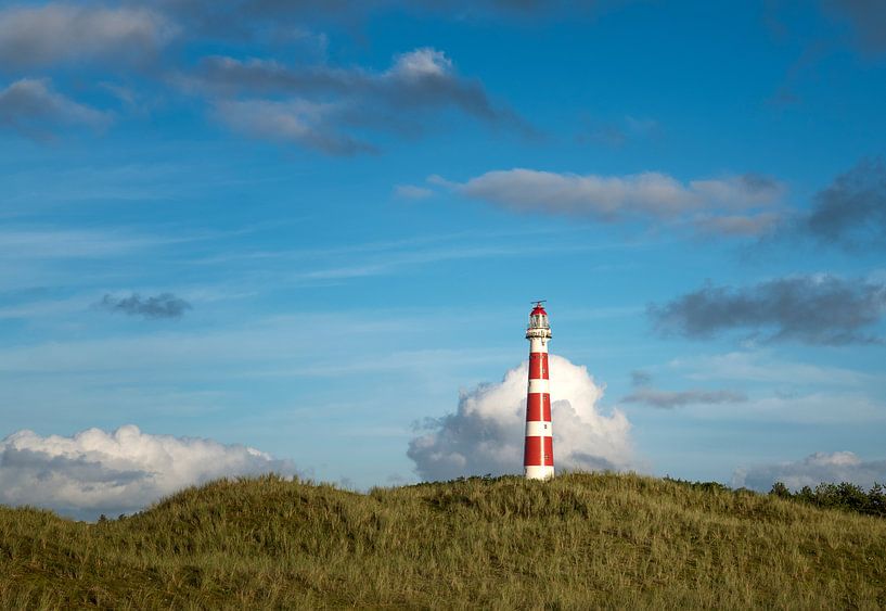 Head above the clouds by Wad of Wonders