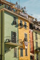 Colors of Cinque Terre