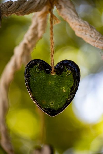 Green heart by Manon Nijssen