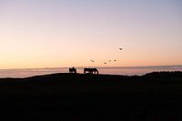 Admirer le coucher de soleil