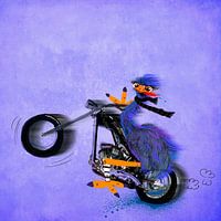 Emu on bike