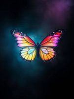 Papillon arc-en-ciel psychédélique