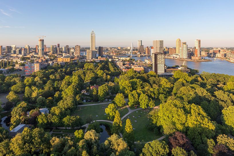 Le magnifique parc de Rotterdam au coucher du soleil par MS Fotografie | Marc van der Stelt