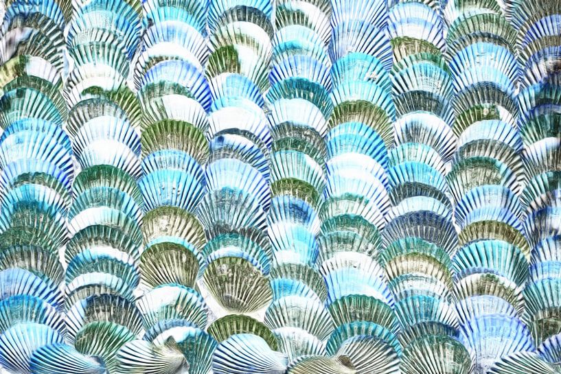Muscheln in Blau und Grau von Maurice Dawson