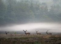 Die Jungs sind wieder in der Stadt.