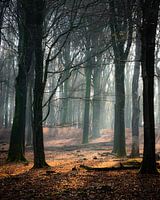 Une beauté irréelle