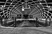 Den Haag bij Nacht in Zwart Wit