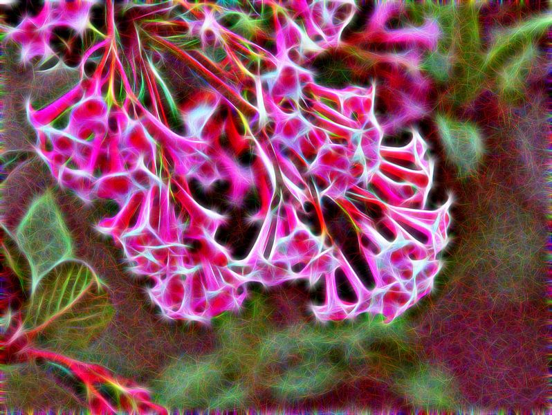 Trompetenblumen von Edgar Schermaul