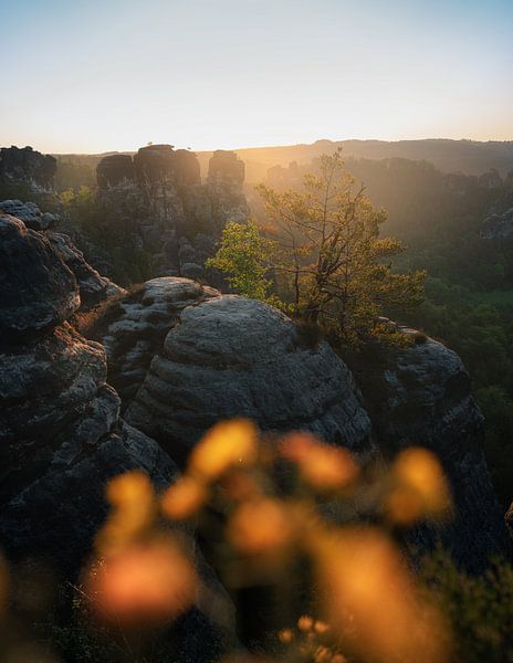 Sandsteinklippen der Basteibrücke von Patrick Noack