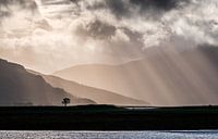 Écosse près de "Eilean Donan Castle"