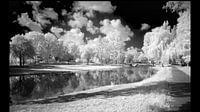 A walk in the park with my infrared camera