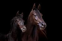 Mutter und Sohn arabisch