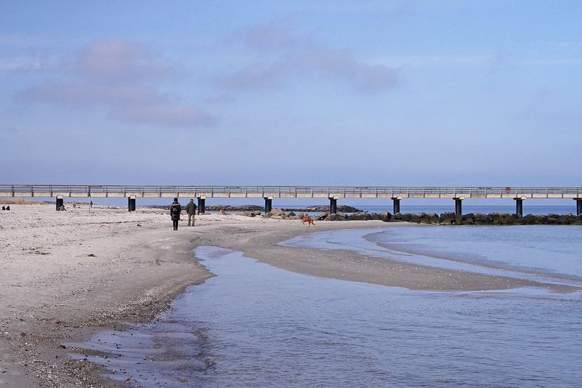 Promenade sur la plage avec un chien au bord de la mer Baltique par Babetts Bildergalerie