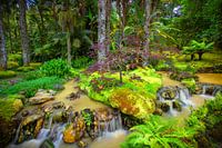 Terra Nostra Gärten