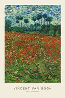 Mohnfeld - Vincent Van Gogh