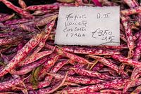 Borlotti Beans