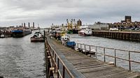 IJmuiden fishing port