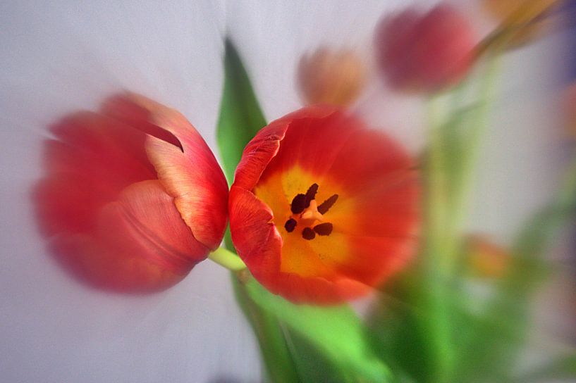 Peinture 13 par Edgar Schermaul