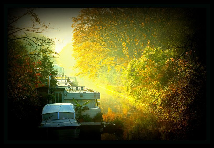 herfst ochtend by Francisco de Almeida