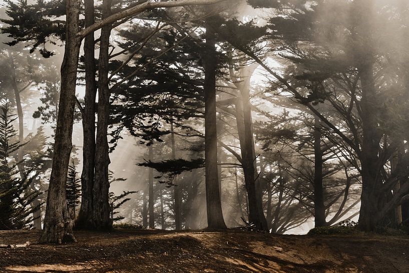 Nebel in San Francisco von Roos Oosterbroek | hand painted prints en fotografie