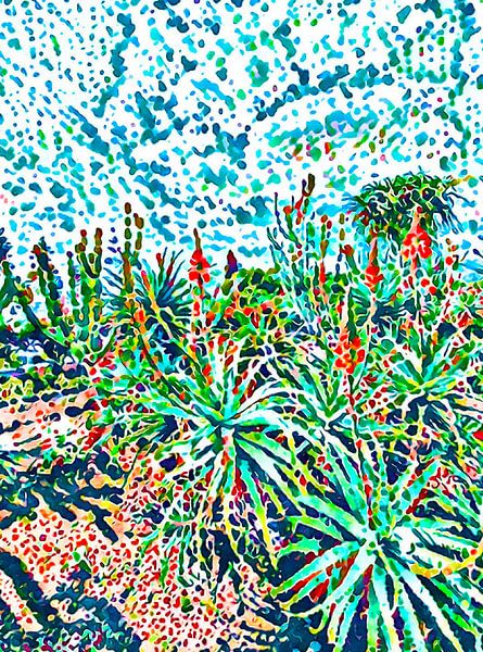 Madeira, Motiv 4 von zam art