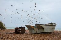 Royaume-Uni | Brighton