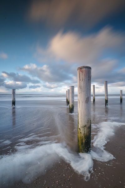Palmendorf Petten bei Sonnenuntergang. von Menno Schaefer