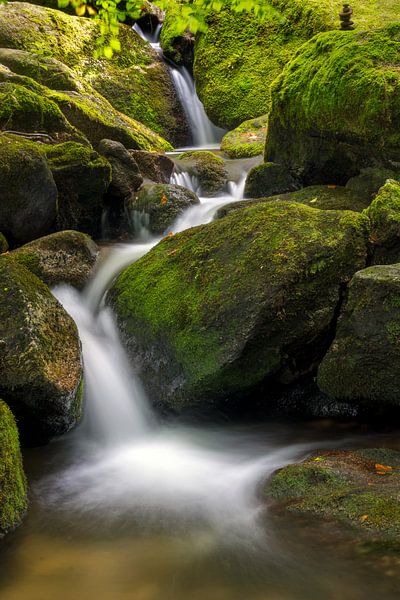 Bachlauf in der Gertelbachschlucht | Schwarzwald von Flatfield