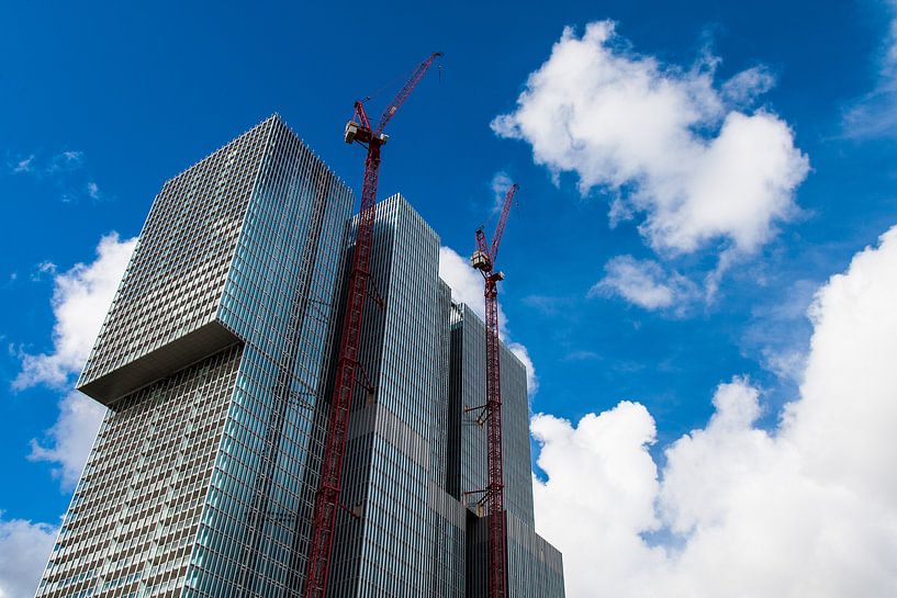 De 'Rotterdam' groeit par Aiji Kley