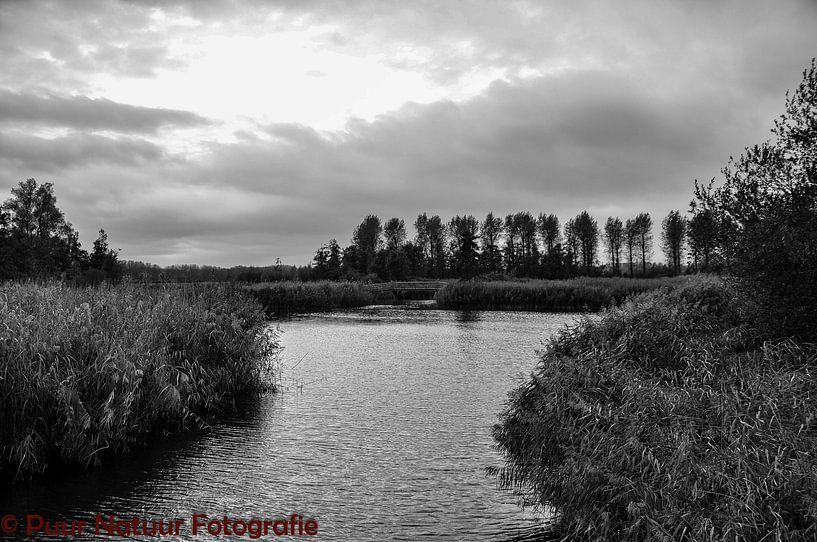 der See schwarz und weiß von Heleen de Silva