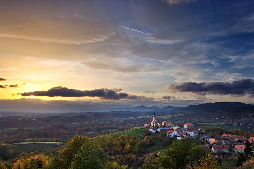 Vivodina von René Pronk