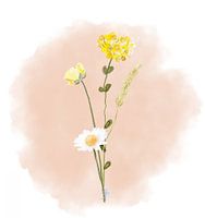 Illustration de belles fleurs de prairie