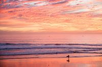 Surfer bei Sonnenuntergang in Taghazout, Marokko