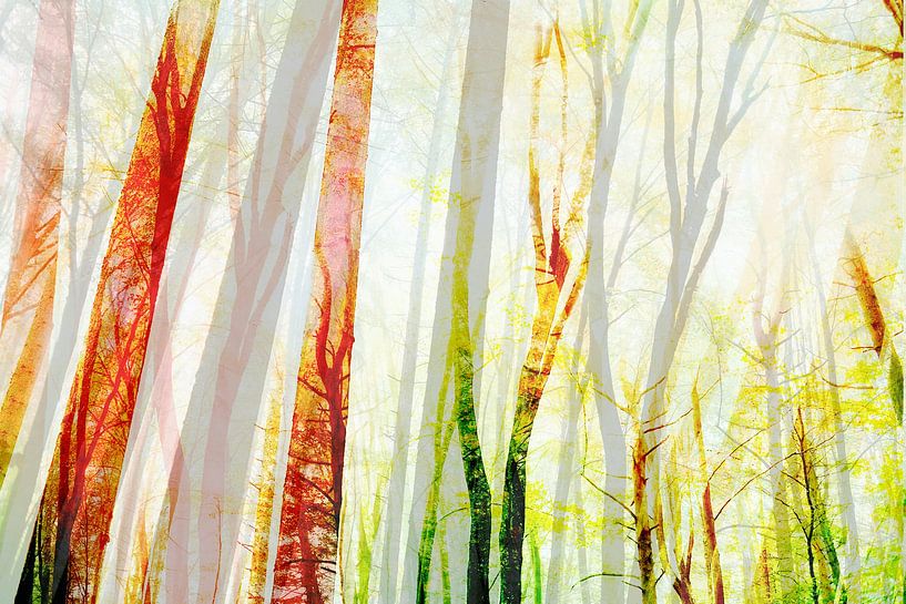 Sommer Wald von FRESH Fine Art