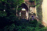 Die Natur gewinnt die Oberhand