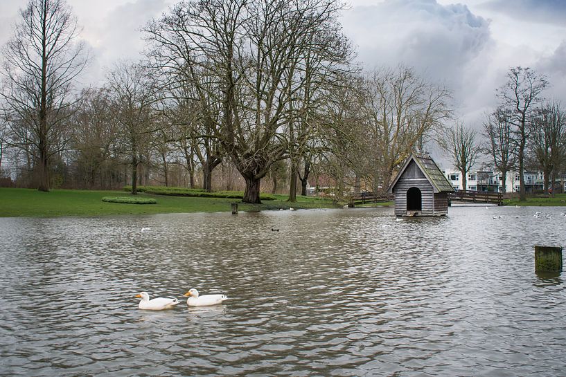 Stadspark Franeker von Steven Otter