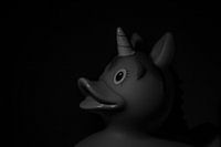 unicorn(eenhoorn eend)