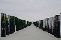 Têtes de pile sur la plage de Zeeland