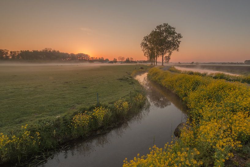 Typical Dutch landscape by Moetwil en van Dijk - Fotografie