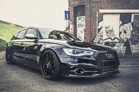 THE BEAUTY AND THE BEAST